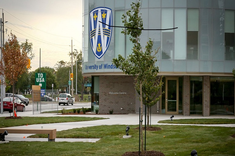 Đại học Windsor - Học ngành gì để sở hữu tấm vé định cư của tỉnh bang Ontario?